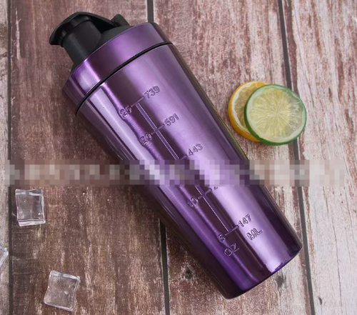 Stainless Steel Shaker Bottle