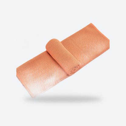 Quick-Dry Cooling Gym Towel